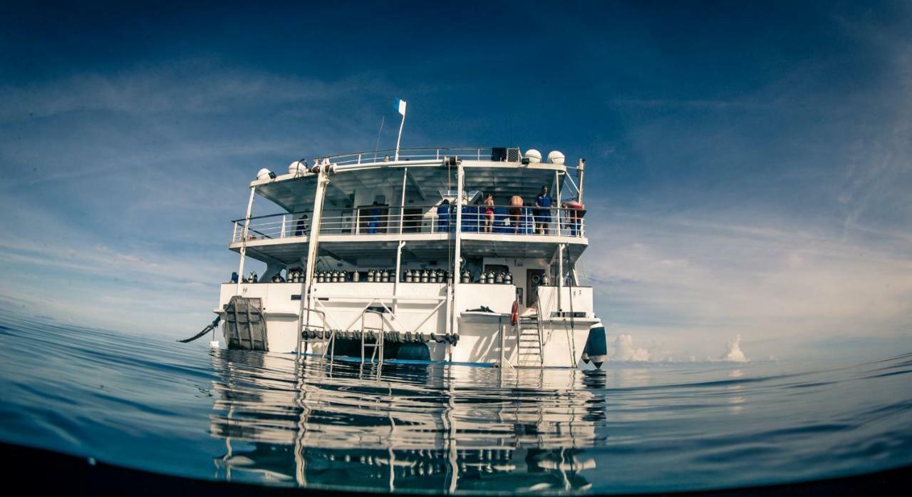 Reef Encounter Hotel Cairns Exterior photo